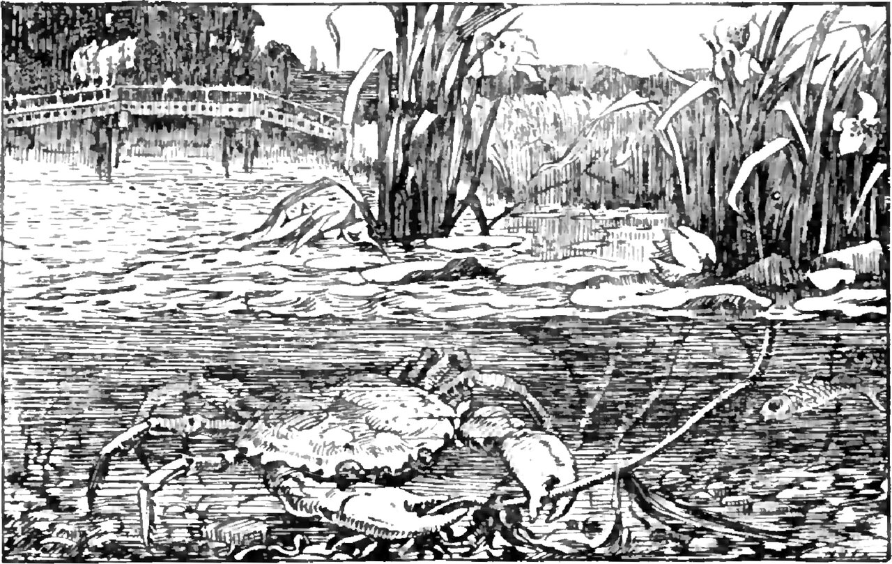 Below the surface of a shallow stream a large crab stands on the stony bed with its claws spread and one long feeler out to the right, a slender fish beside it; above the waterline are flag irises and reeds along the bank, and at the upper left a low railed footbridge on piles crosses toward dark trees