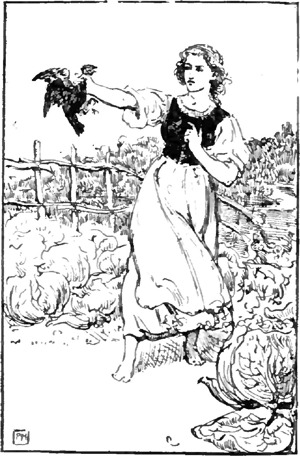 Felicia stands barefoot in a bed of cabbages, holding a dark hen out at arm's length with its wings spread and its feet kicking, her other hand drawn up to her breast and a post-and-rail fence with a rough hedge behind her