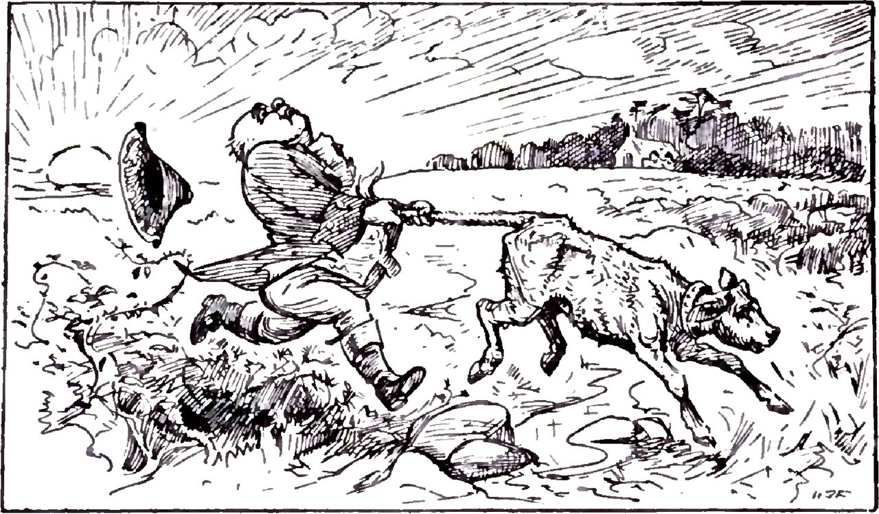 The bailiff, stout and balding in a long skirted coat and knee breeches, is dragged off his feet across rough open country by a galloping calf whose tail he grips in both hands, his broad hat flying through the air behind him and a low sun sitting on the horizon at his back