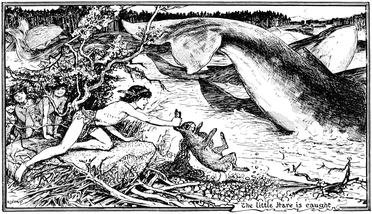 The little Hare is caught