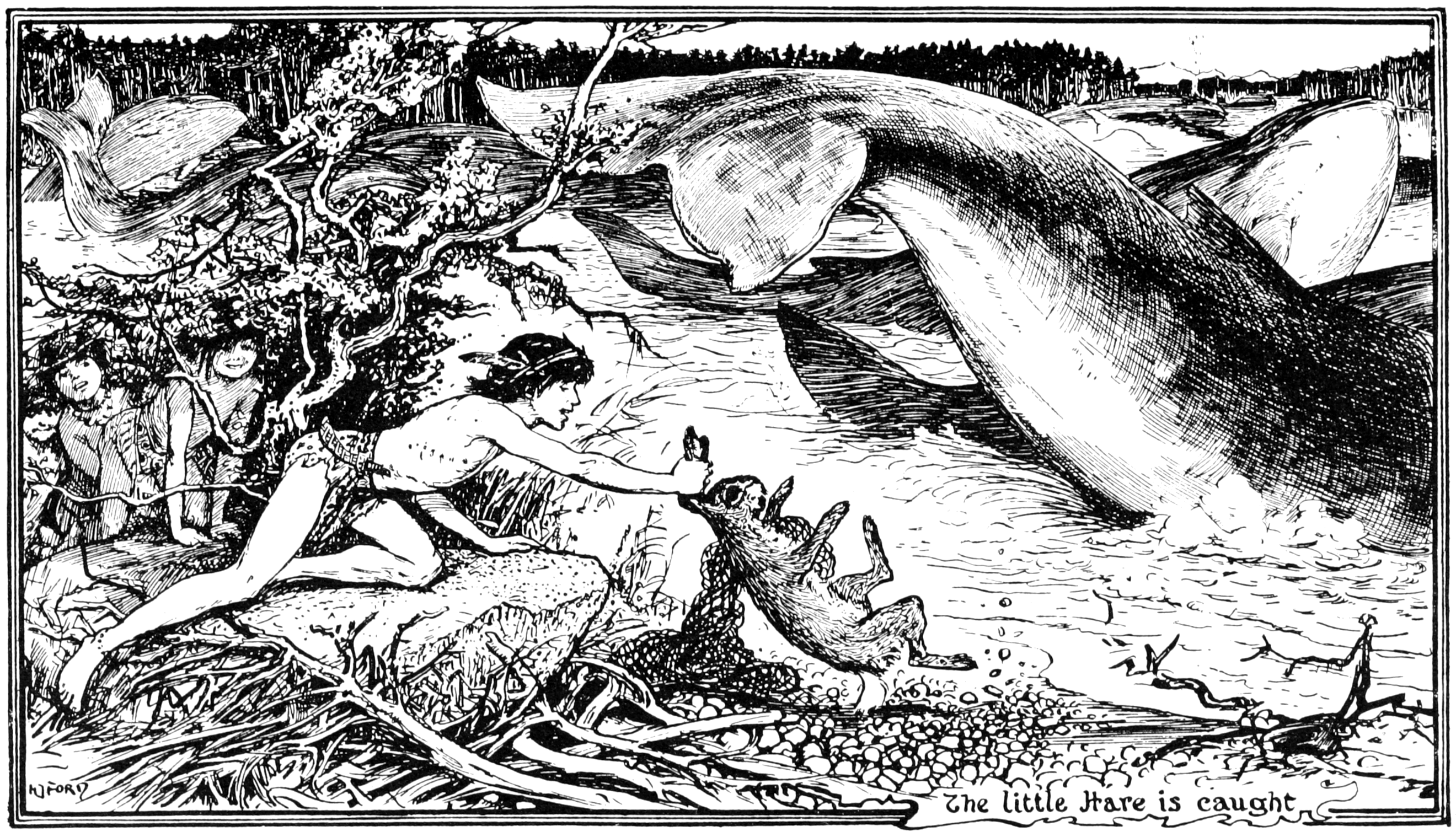 The little Hare is caught