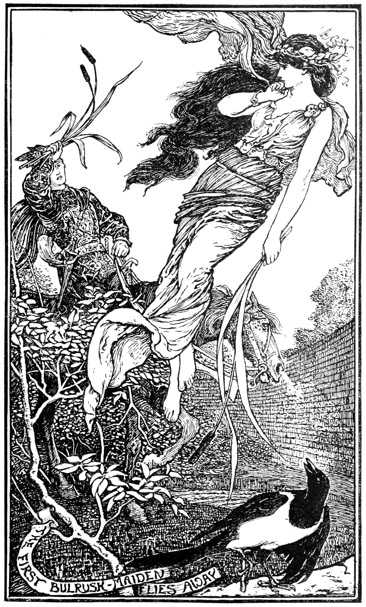 Undescribed: the plate the transcription carries as The crimson fairy book (1903) (14779613692).jpg. An image pass replaces this by looking at the picture.