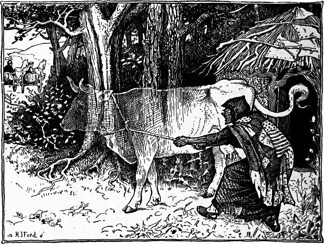 the old woman stoops with both hands outstretched to the white cow outside her hut