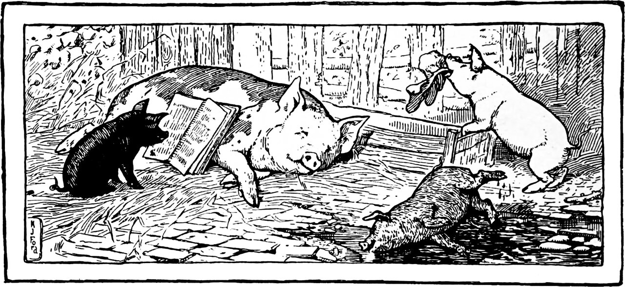 Blacky sits reading an open book propped against his dozing mother the sow, while behind them Whitey rears up on her hind legs at the sty wall after a cabbage and Browny wallows in the muddy puddle