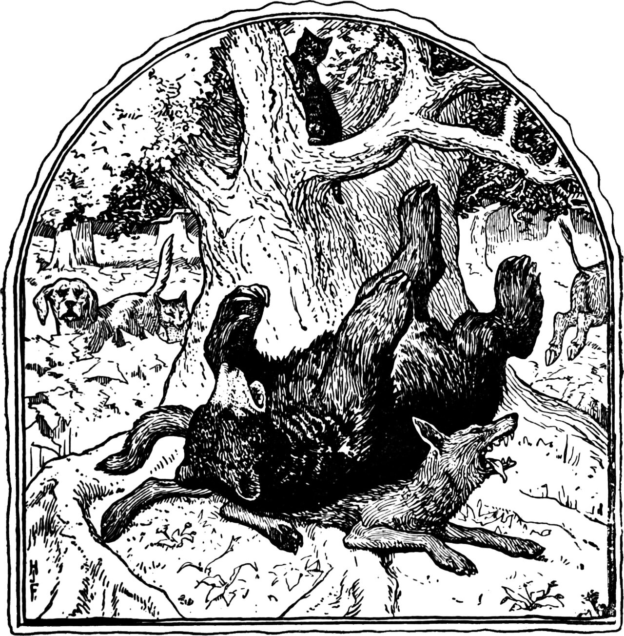 the bear lies on his back on the dead wolf at the foot of the oak, the cat spitting in the fork above and the wild boar bolting out of the picture, with the dog and the fox looking on from behind the trunk