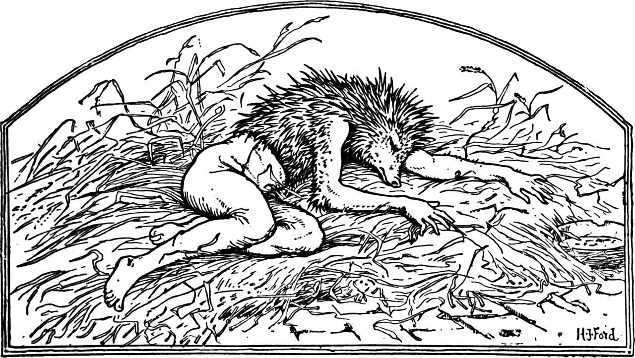 Jack my Hedgehog, hedgehog above the waist and boy below, lies curled asleep on his heap of straw