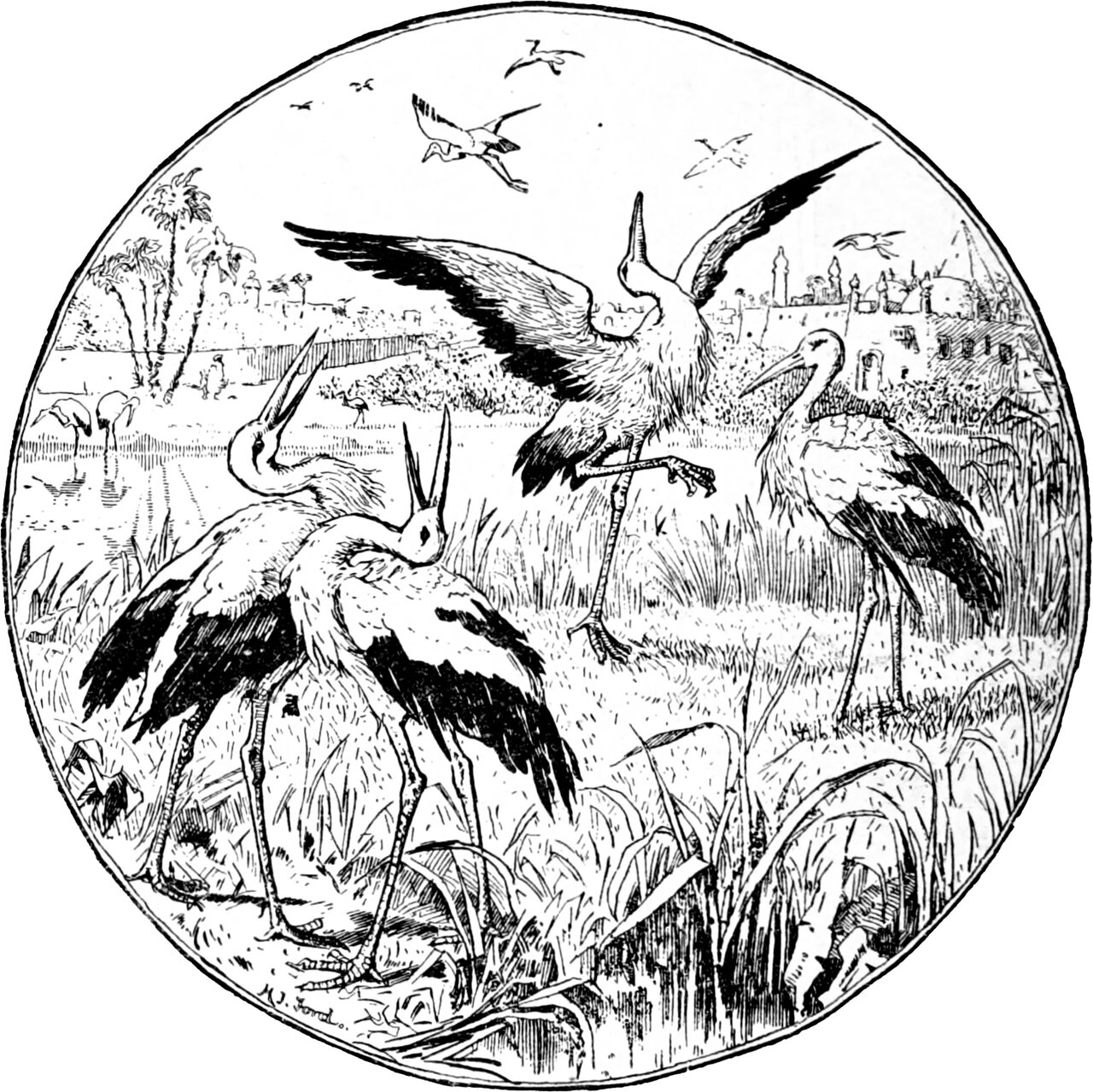 the young stork dances with outspread wings and one leg lifted while the Caliph and the Vizier, in stork shape, throw up their open bills in laughter