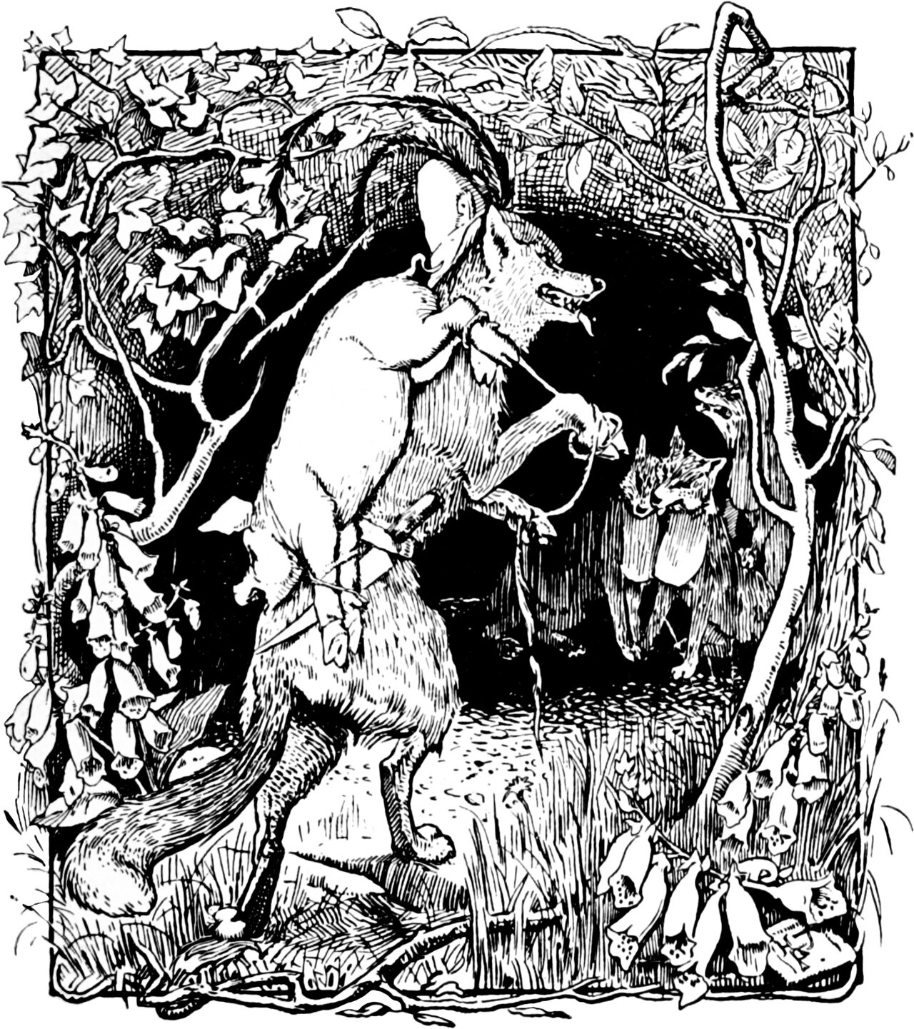 The fox, upright on his hind legs and showing his teeth, carries the corded Whitey home under one arm to the mouth of his den, where two cubs wait in the dark