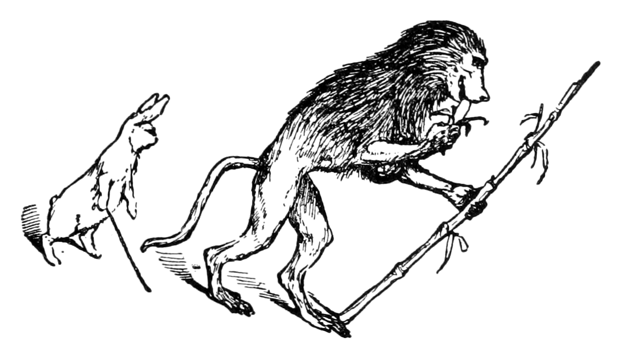 Undescribed: the plate the transcription carries as The Orange Fairy Book - Page 35.png. An image pass replaces this by looking at the picture.
