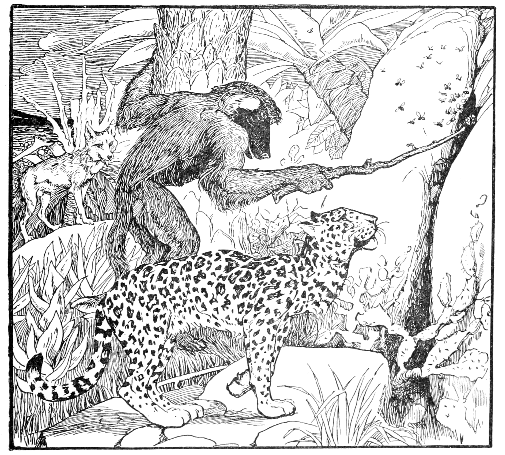 black and white illustration of seven nyamatsanés (depicted as imp-like creatures with long arms, pointed ears, horns, and long tails. They are otherwise humanoid and have dark skin and somewhat short legs). They are in a desert, all in a row with their shadows cast ahead of them striding forward. In the background far behind them a village, with small houses, palm trees, and the figures of several dogs and a one human in a triumphant pose barely visable. One of the nyamatsanés is shaking their fist and all look disgruntled.