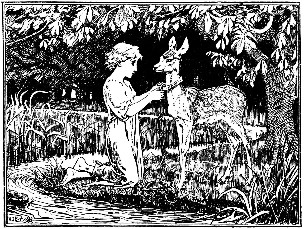 The sister, in a plain sleeveless shift belted at the waist, kneels on the bank of a stream in a dark wood and fastens a studded band round the neck of the young roe deer that stands facing her, a plaited cord hanging from the band to the ground between its forelegs
