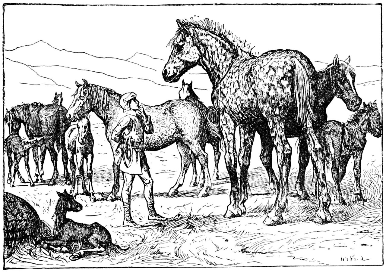On an open hillside below distant mountains the youth, in a cap and belted tunic with a looped rope hanging at his hip, stands among mares and their foals with his head tipped back and one hand at his chin, looking up at Dapplegrim, a dapple-grey standing head and shoulders taller than every other horse in the herd, while at the lower left a dark foal lies folded on the ground with its head raised and behind him a foal sucks at a mare