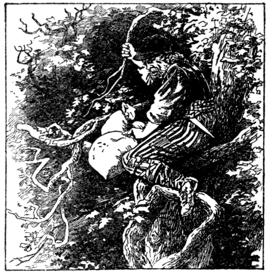 The Black Thief, in a soft dark cap, is wedged high in a tree among heavy foliage, his face in profile looking down into the dark, one fist closed round a slender bough above his head, two pale sacks with tied necks hugged against him under his other arm, a long straight blade jutting down at his side and one booted foot braced on a gnarled limb