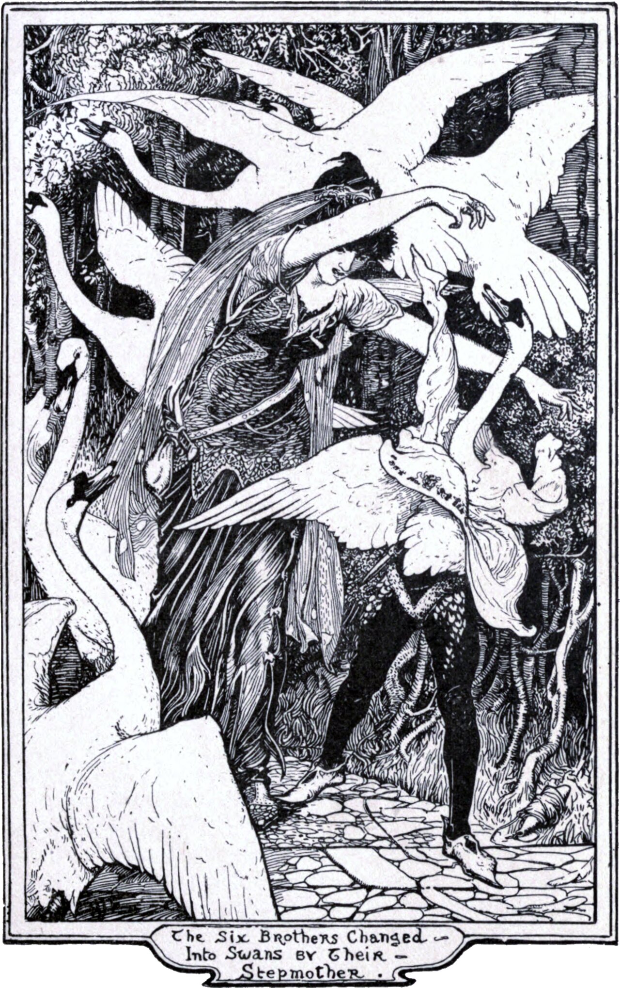 A young woman in a long hooded cloak stands on a cobbled forest path, arms lifted, while six white swans wheel and beat about her, several with wings spread across her body and one alighting at her feet. Dense trees and undergrowth fill the background. A ribbon below the frame is lettered The Six Brothers Changed Into Swans By Their Stepmother.